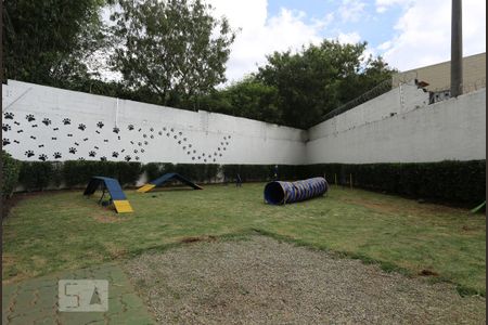 Pets de apartamento para alugar com 3 quartos, 70m² em Jaguaré, São Paulo