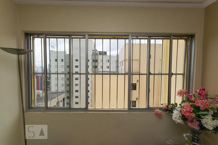 Janela da sala de apartamento à venda com 2 quartos, 68m² em Chácara Inglesa, São Paulo