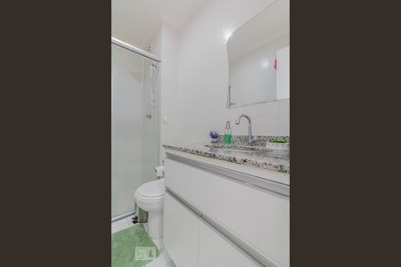 Banheiro de apartamento para alugar com 2 quartos, 60m² em Jardim Santa Cruz (sacomã), São Paulo