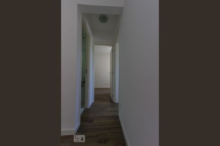 corredor de apartamento para alugar com 2 quartos, 54m² em Paraisópolis, São Paulo