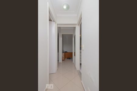 Corredor de apartamento para alugar com 2 quartos, 70m² em Vila Moinho Velho, São Paulo