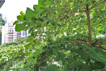 Apartamento à venda com 136m², 3 quartos e 1 vagaVista Quarto 2.