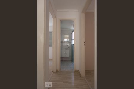 Corredor de apartamento para alugar com 2 quartos, 55m² em Jardim Aurélia, Campinas