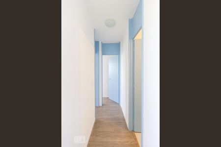 Corredor de apartamento à venda com 2 quartos, 46m² em Jardim Íris, São Paulo