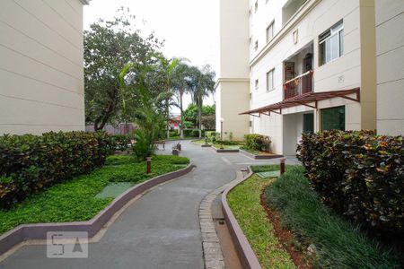 Área Comum de apartamento para alugar com 2 quartos, 47m² em Vila Leopoldina, São Paulo