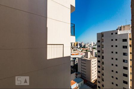 Vista de apartamento para alugar com 1 quarto, 66m² em Cambuí, Campinas