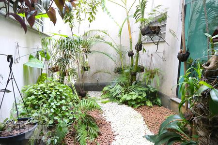 Jardim interno de casa à venda com 6 quartos, 323m² em Vila Santa Terezinha (zona Norte), São Paulo