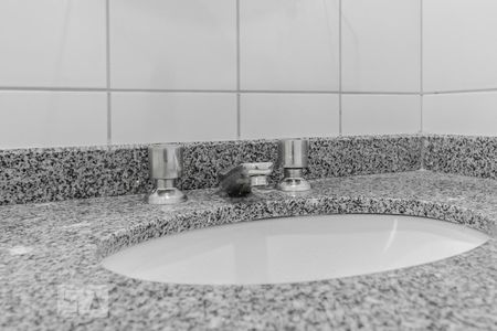 Apartamento para alugar com 67m², 3 quartos e 1 vaga Apartamento para alugar com 67m², 3 quartos e 1 vagaSuíte