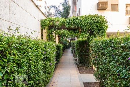 Apartamento para alugar com 66m², 2 quartos e 1 vagaLounge