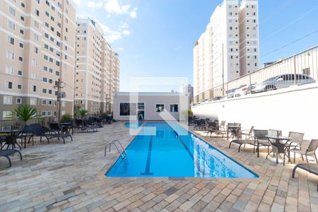Área comum - Piscina de apartamento à venda com 2 quartos, 45m² em Jardim Nova Europa, Campinas