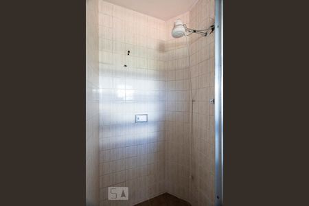 Banheiro social de apartamento para alugar com 2 quartos, 80m² em Jabaquara, São Paulo