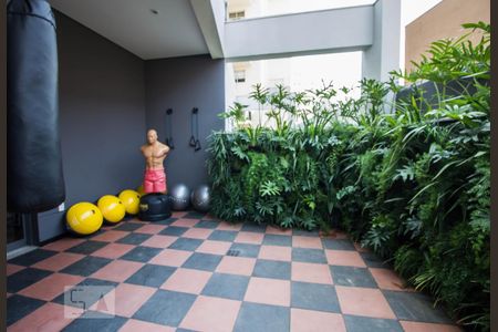 Academia de kitnet/studio para alugar com 1 quarto, 41m² em Sumarezinho, São Paulo