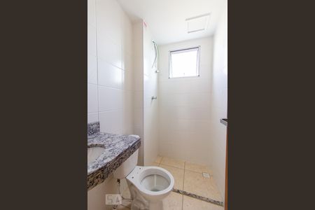 Banheiro Social de apartamento para alugar com 2 quartos, 64m² em Conjunto Helena Antipoff, Belo Horizonte