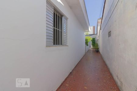 Quintal lateral de casa para alugar com 3 quartos, 340m² em Vila Brasilina, São Paulo