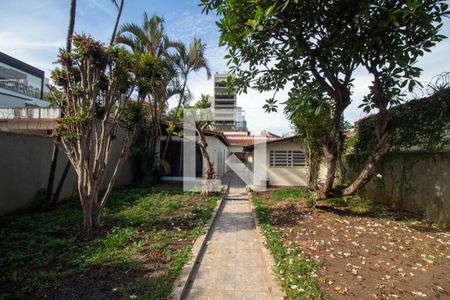 Casa para alugar com 500m², 4 quartos e 2 vagasQuintal