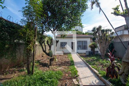 Casa para alugar com 500m², 4 quartos e 2 vagasQuintal