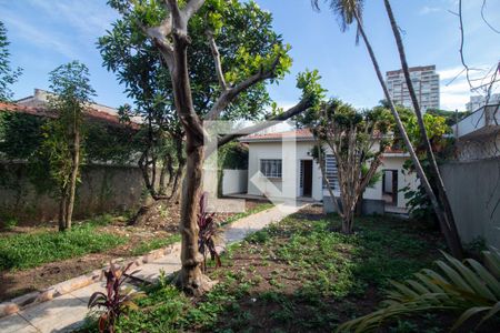 Casa para alugar com 500m², 4 quartos e 2 vagasQuintal