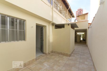 Studio para alugar com 26m², 1 quarto e sem vagaQuintal