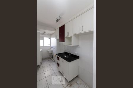 cozinha de apartamento para alugar com 2 quartos, 54m² em Jardim Ibitirama, São Paulo