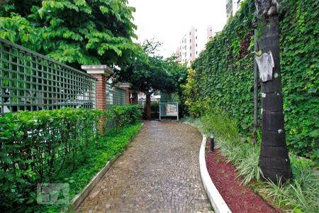 Apartamento para alugar com 62m², 3 quartos e 1 vagaÁrea comum