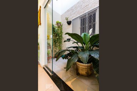 Sala - Jardim de Inverno de casa para alugar com 3 quartos, 271m² em Parque da Figueira, Campinas