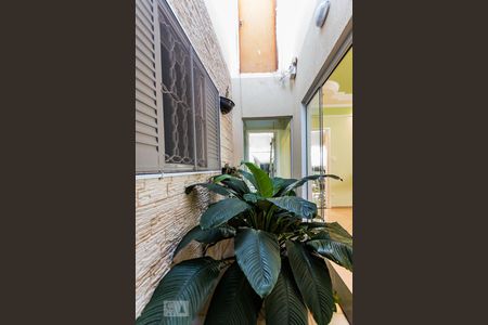 Sala - Jardim de Inverno de casa para alugar com 3 quartos, 271m² em Parque da Figueira, Campinas