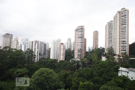 Vista de apartamento para alugar com 1 quarto, 35m² em Paraíso do Morumbi, São Paulo