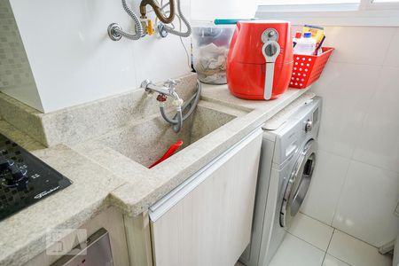 detalhe área de serviço de apartamento para alugar com 2 quartos, 48m² em Quinta da Paineira, São Paulo