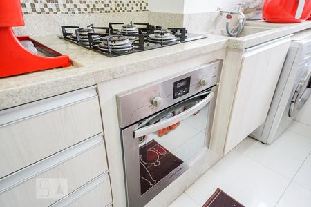detalhe cozinha de apartamento para alugar com 2 quartos, 48m² em Quinta da Paineira, São Paulo