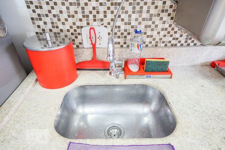 detalhe cozinha de apartamento para alugar com 2 quartos, 48m² em Quinta da Paineira, São Paulo