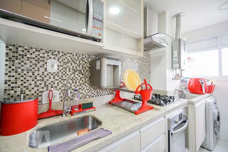 cozinha de apartamento para alugar com 2 quartos, 48m² em Quinta da Paineira, São Paulo