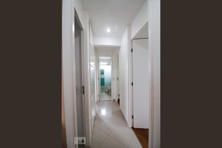 Corredor de apartamento para alugar com 3 quartos, 90m² em Alto da Lapa, São Paulo