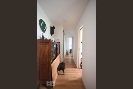 Corredor de apartamento à venda com 2 quartos, 50m² em Vila Suzana, São Paulo