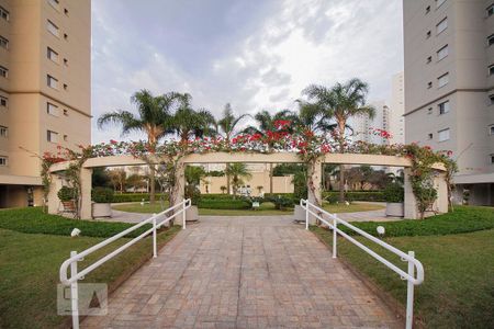 Área Comum de apartamento para alugar com 3 quartos, 94m² em Vila Leopoldina, São Paulo