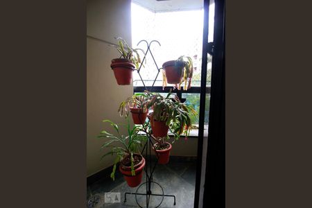 Apartamento à venda com 238m², 4 quartos e 3 vagasVaranda