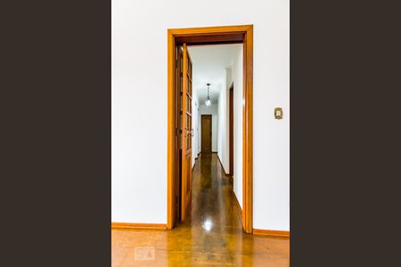 Corredor de apartamento para alugar com 3 quartos, 88m² em Vila Marieta, Campinas