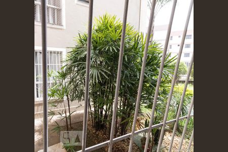 Vista da Sala de apartamento para alugar com 3 quartos, 63m² em Maria Virgínia, Belo Horizonte