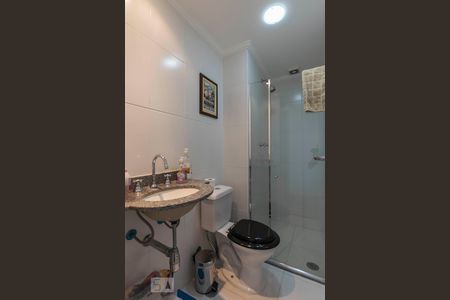 Banheiro social de apartamento para alugar com 2 quartos, 50m² em Cambuci, São Paulo