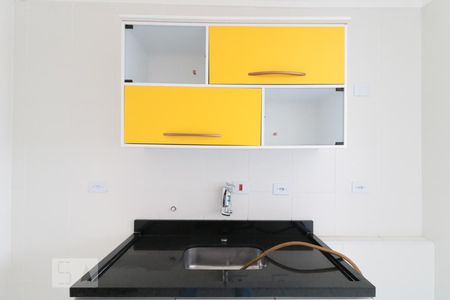 Apartamento para alugar com 57m², 2 quartos e 1 vagaCozinha - Armários