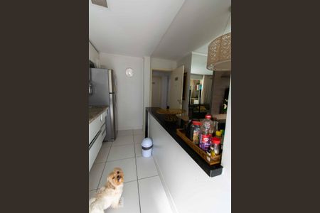 Apartamento à venda com 70m², 2 quartos e 1 vaga Apartamento à venda com 70m², 2 quartos e 1 vagaCozinha