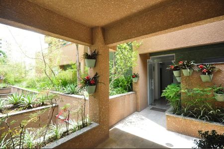Entrada de apartamento para alugar com 2 quartos, 46m² em Jardim Ampliação, São Paulo