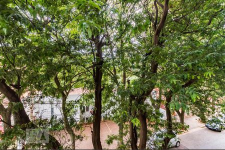 Vista de kitnet/studio para alugar com 1 quarto, 50m² em Botafogo, Campinas