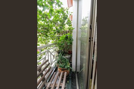 Varanda de casa de condomínio à venda com 2 quartos, 110m² em Vila São Silvestre, São Paulo