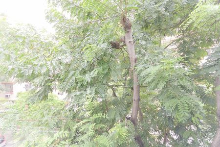 Apartamento à venda com 94m², 3 quartos e sem vagaVista quarto 1