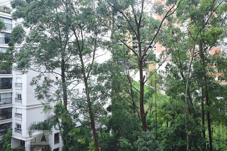 Vista de apartamento à venda com 3 quartos, 246m² em Fazenda Morumbi, São Paulo