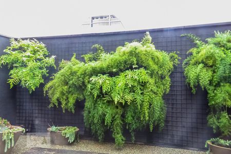 Studio para alugar com 47m², 1 quarto e 1 vaga Studio para alugar com 47m², 1 quarto e 1 vagaAcademia - Condomínio