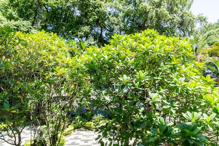 Apartamento à venda com 102m², 3 quartos e 2 vagasVista - Sala