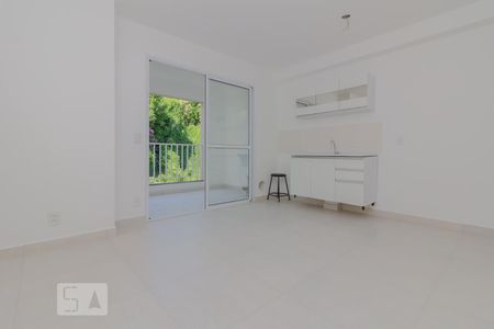Sala de apartamento para alugar com 2 quartos, 45m² em Vila Monumento, São Paulo