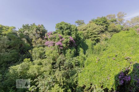 Vista da varanda de apartamento para alugar com 2 quartos, 45m² em Vila Monumento, São Paulo