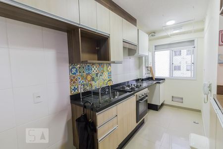 Cozinha de apartamento para alugar com 2 quartos, 50m² em Jardim Bela Vista, Guarulhos